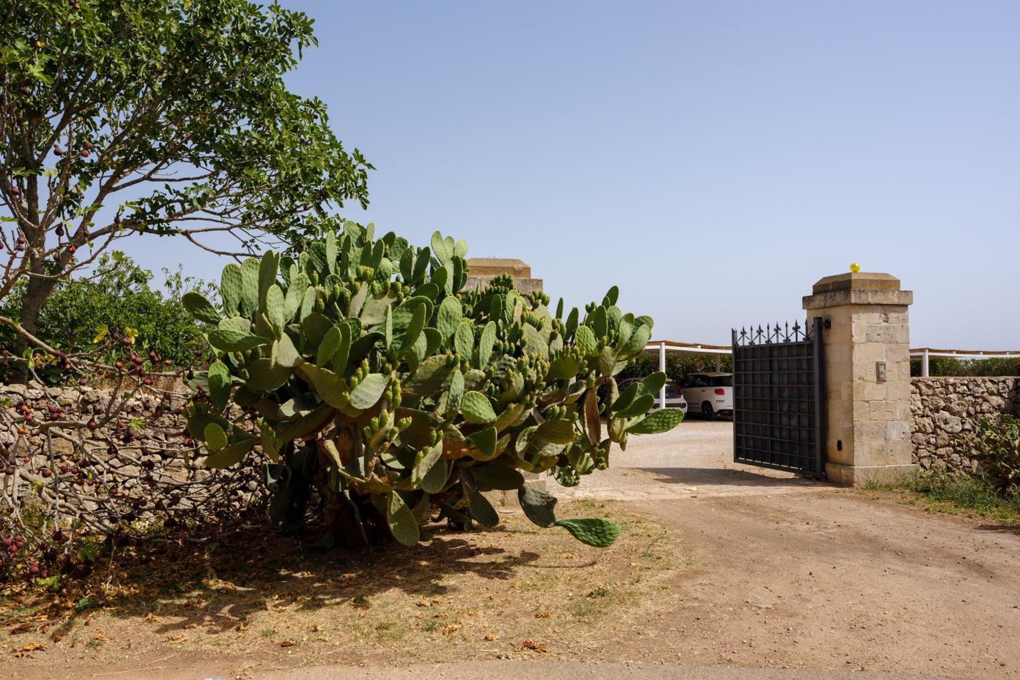 Masseria Bernardini By Symphonya Luxury Rentals Nardo Bagian luar foto